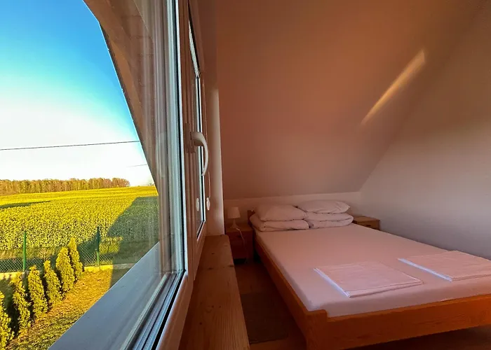 Prázdninový dům Przysiolek Buczyna Na Kaszubach Chrztowo